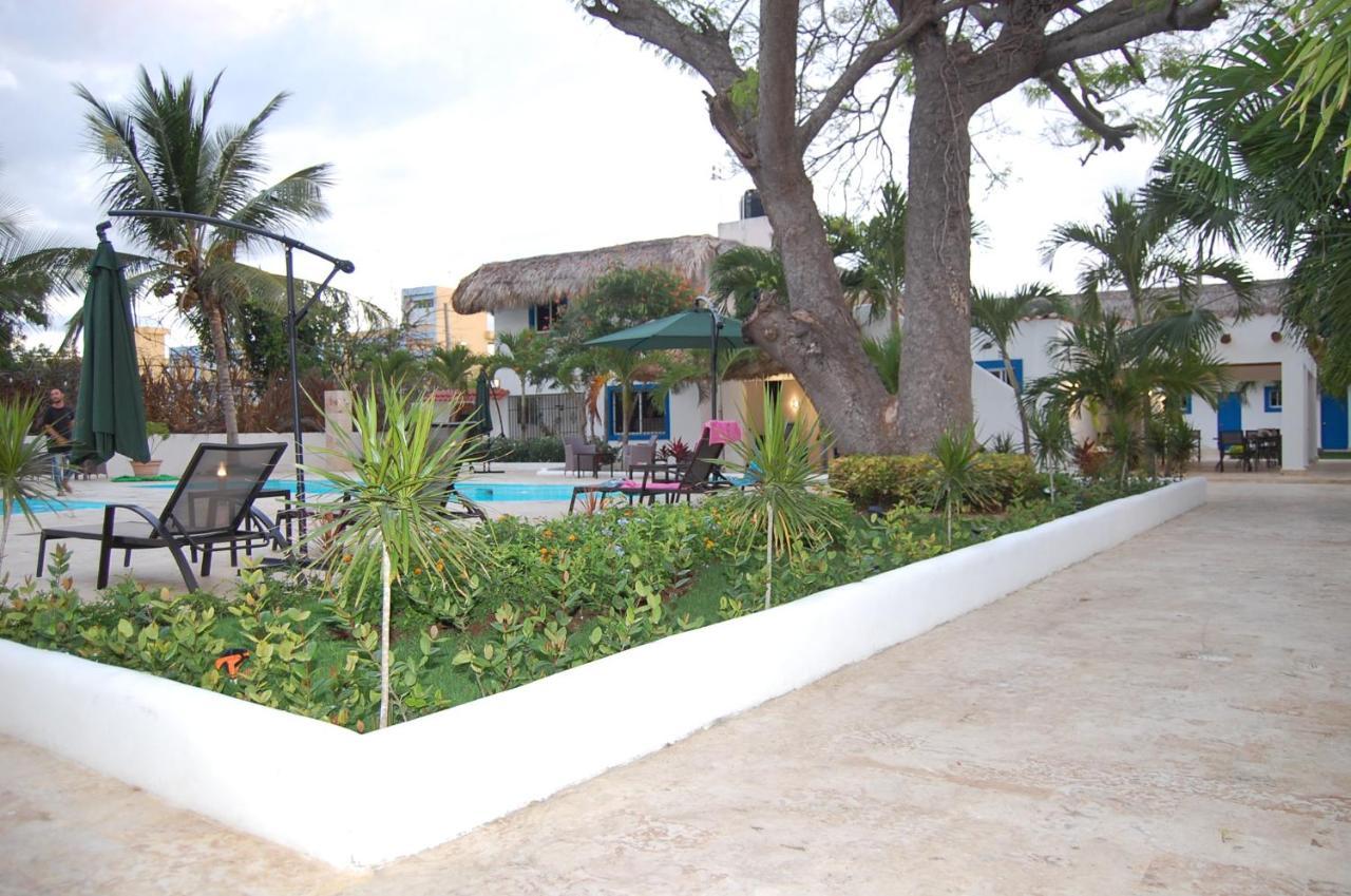 Nuovo Hotel Playa Catalina La Romana Esterno foto