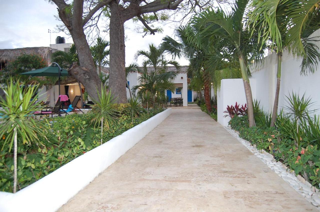 Nuovo Hotel Playa Catalina La Romana Esterno foto